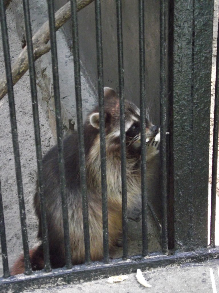 Галина Зайко | Новосибирск