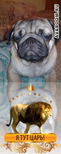 №5, Вова Сидоров №5, Вова Сидоров