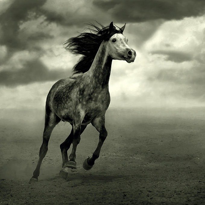 Гульназира Хасанова-Сагадатова *ღ Гөлнәзирә ღ* | Уфа