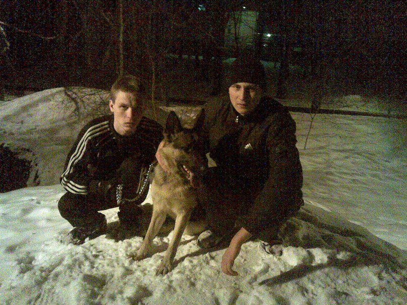 Николай Телицын | Полтава