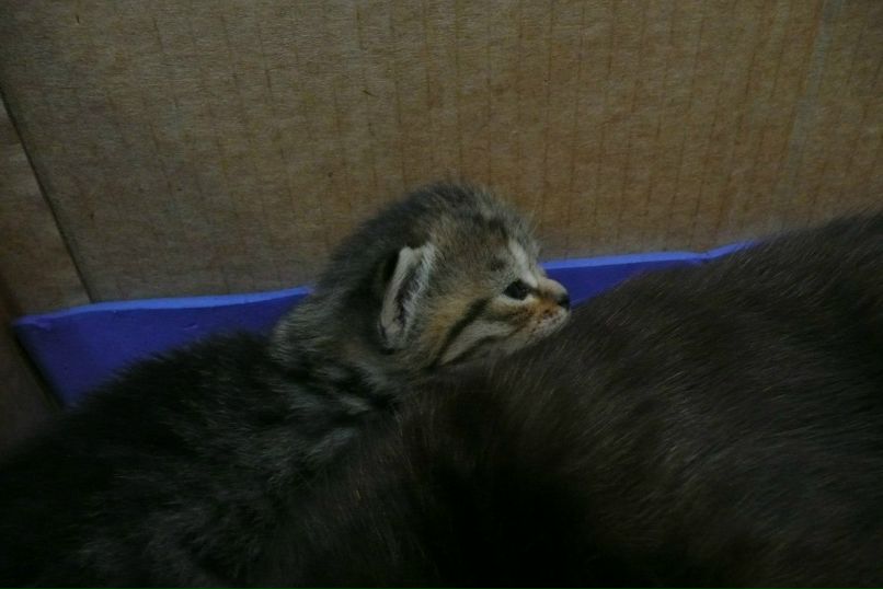 Ирина Ткаченко | Волгоград