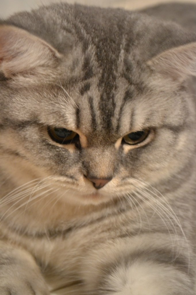 Яна Ткаченко √V^√\~√V^ √V^√\~ | Днепр (Днепропетровск)