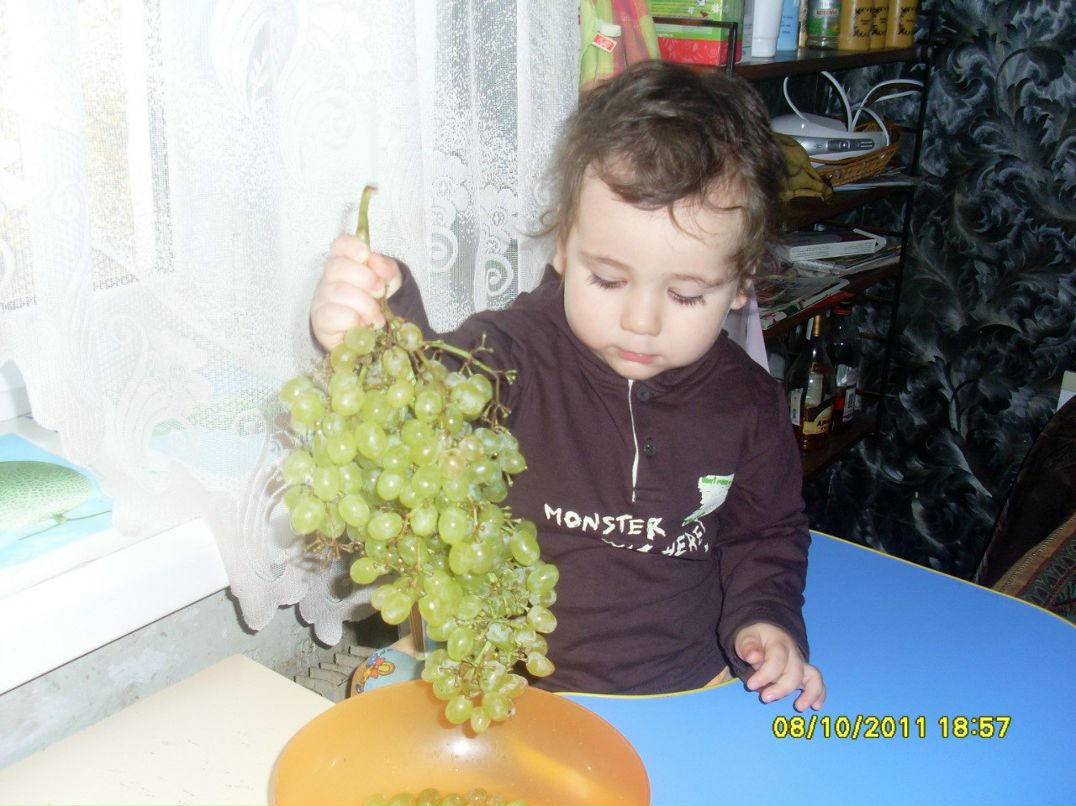 Элеонора Хошимова | Уфа