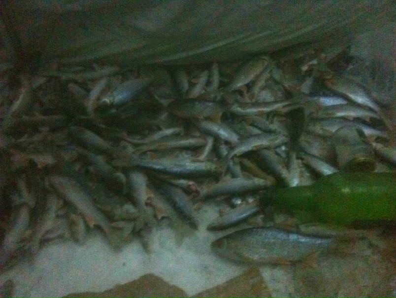 №15, Федор Ноговицын, Якутск №15, Федор Ноговицын, Якутск