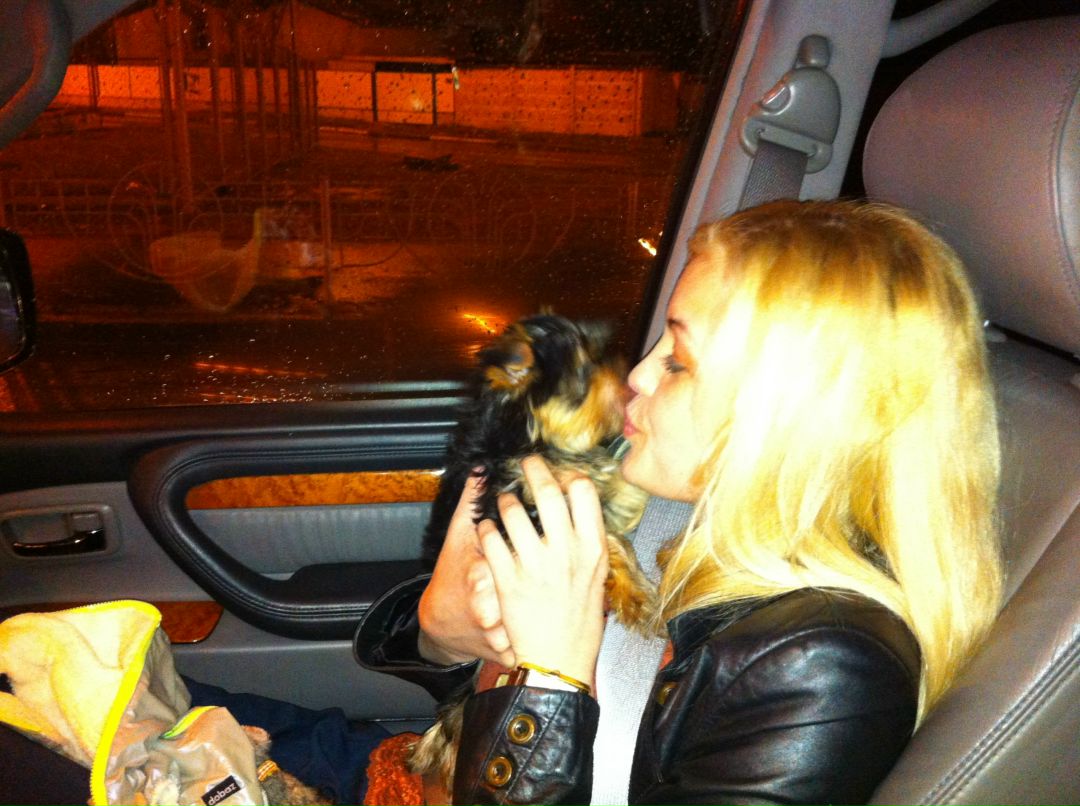 Анна Шандра | Киев