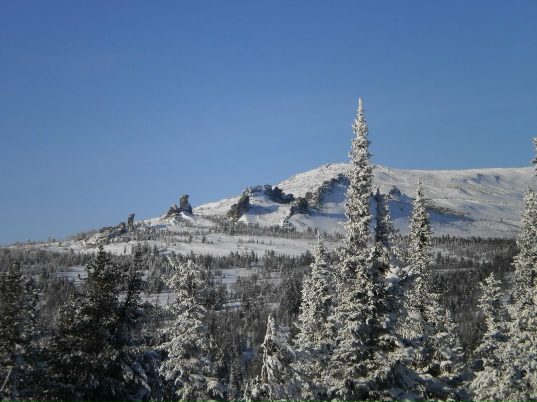 Наталья Алёшина | Новосибирск