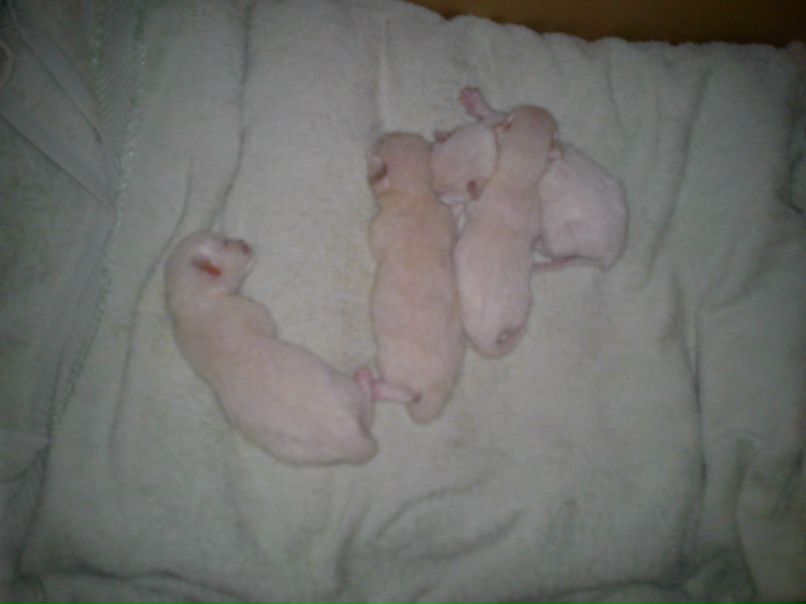 Елена Худышкина | Екатеринбург