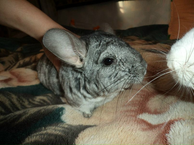 Ирина Сергеева | Пушкино