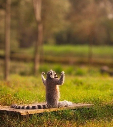 Вадим Вайтайтис | Jamestown