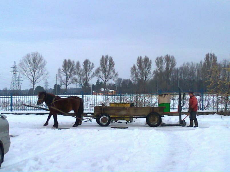Маша Шибакова | Харьков
