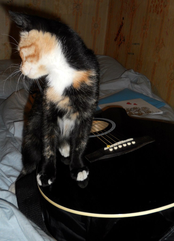 Светлана Дубкова | Рига