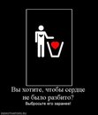 Фотография Илья Рамилев