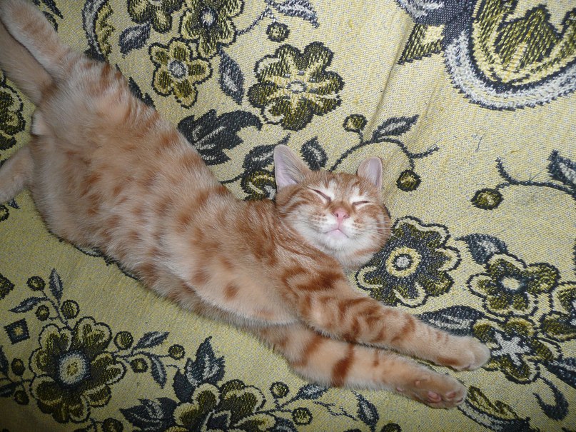 Валентина Соколова | Санкт-Петербург