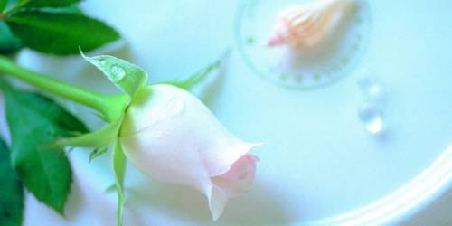 Наталья Вышарь | Донецк