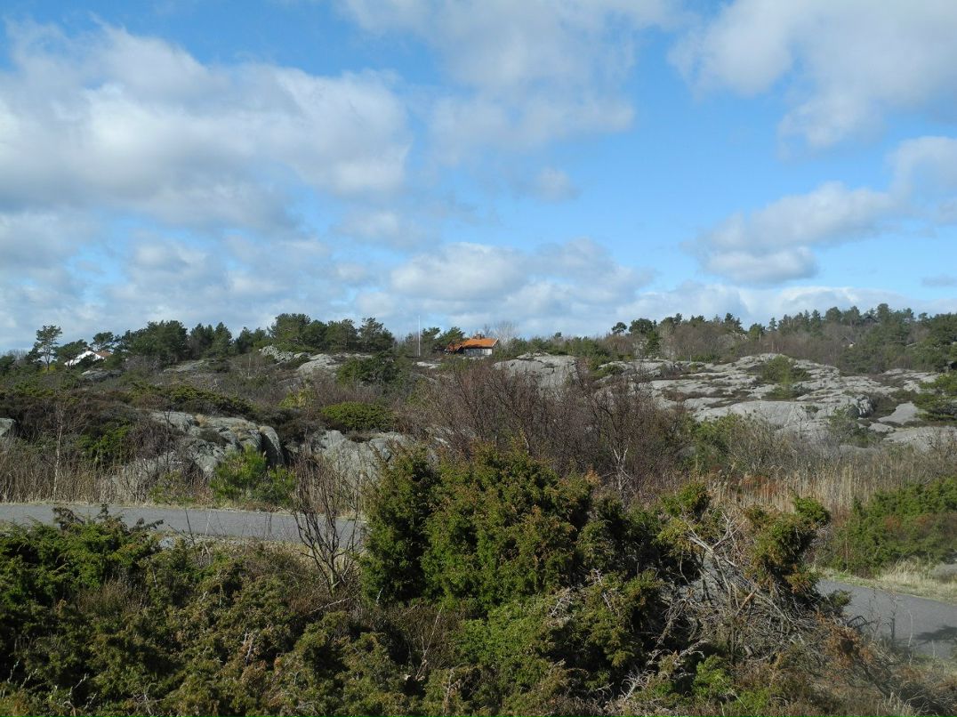 Наталья Кузнецова | Санкт-Петербург