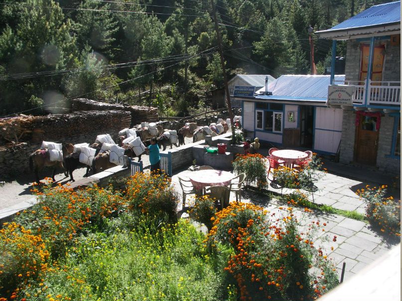 Влад Фролов | Красноярск