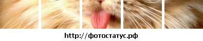 №10 Анна Кротова : профиль, фото, статус - ВКонтакте