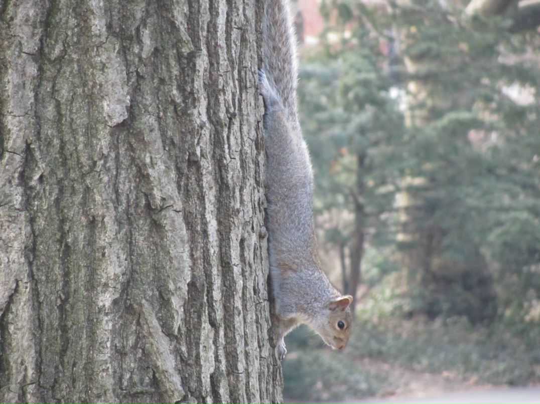 Юлия Лазарева | Москва
