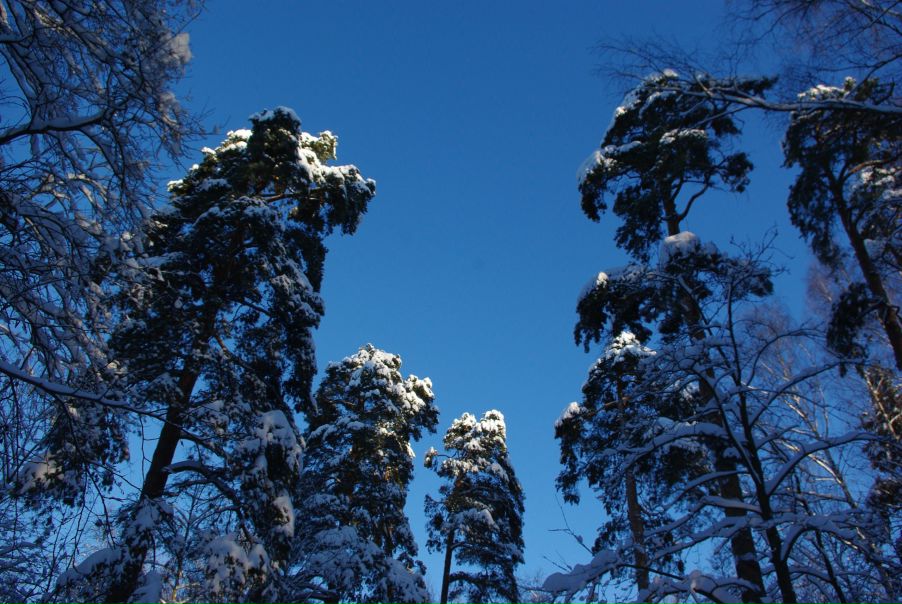 №74, Аня Филатова №74, Аня Филатова