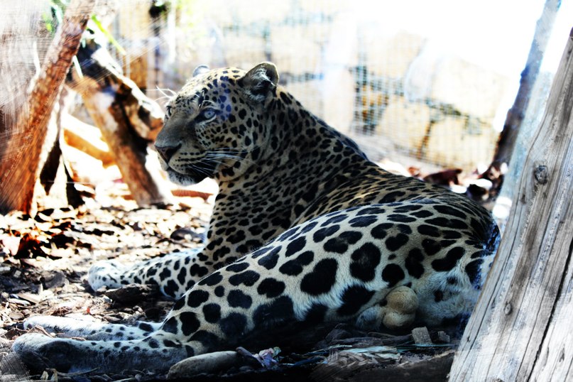 Серёжа Бойко | Москва