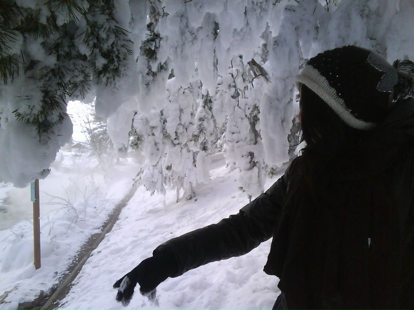 Сергей Травкин Суслик-путешественник))) | Улан-Удэ