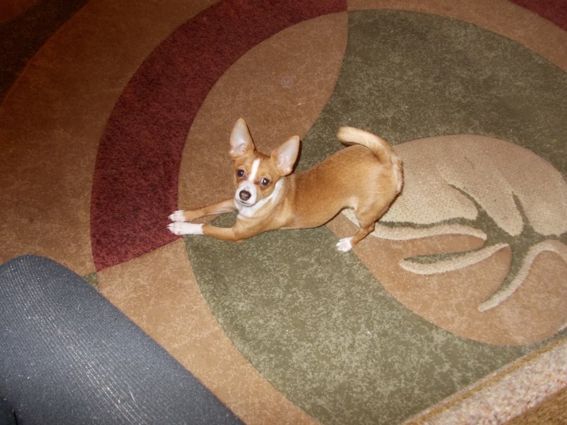 Константин Бобков | Москва