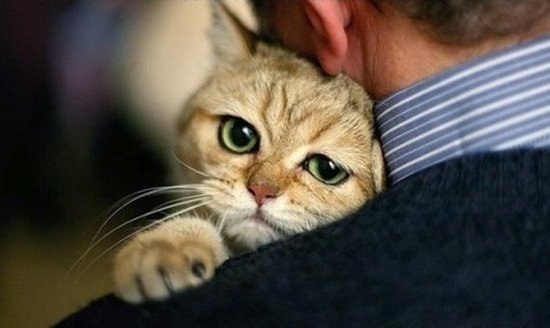 Анна Гук | Львов