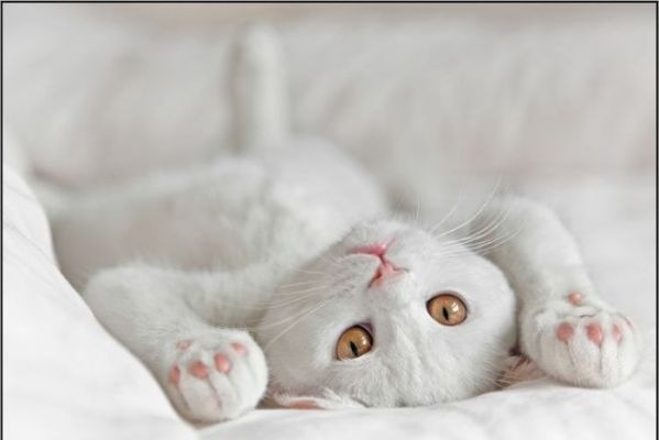 №152, Мария Саматова, 38 лет №152, Мария Саматова, 38 лет