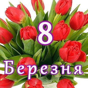 Наталія Кармазин Iгорiвна | Золочев