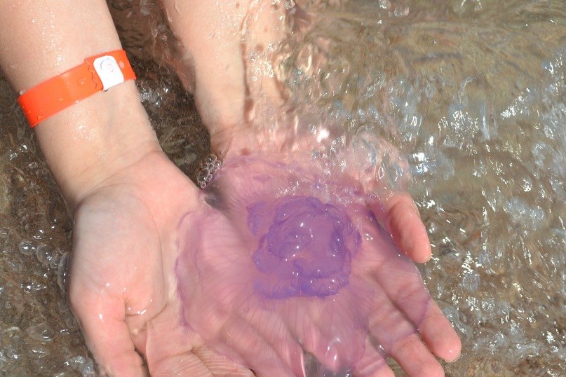 Анастасия Соколова | 