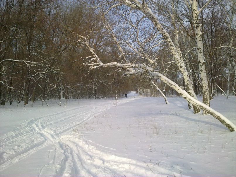 Сергей Квашин | Калач-на-Дону