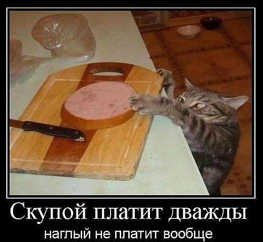 №21, Ростислав Водзинский №21, Ростислав Водзинский