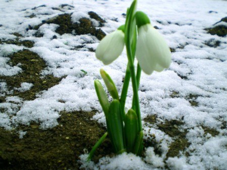 №79, Орест Савка, 27.3 №79, Орест Савка, 27.3