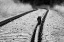 Фотография Иванов Иван