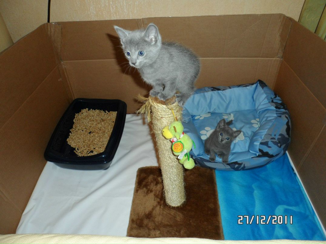 Ирина Егорова | Санкт-Петербург