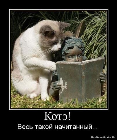 Katrin Pozdneeva | Совхоза «Россия»