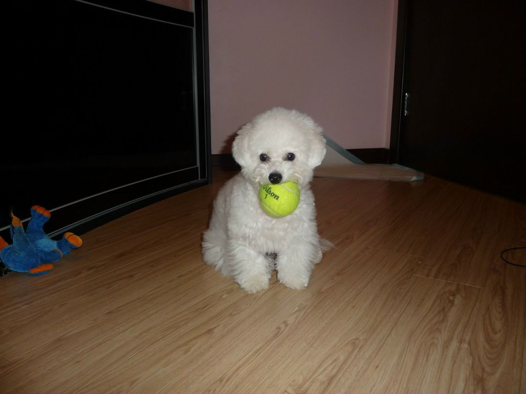 Наталья Волкова | Люберцы