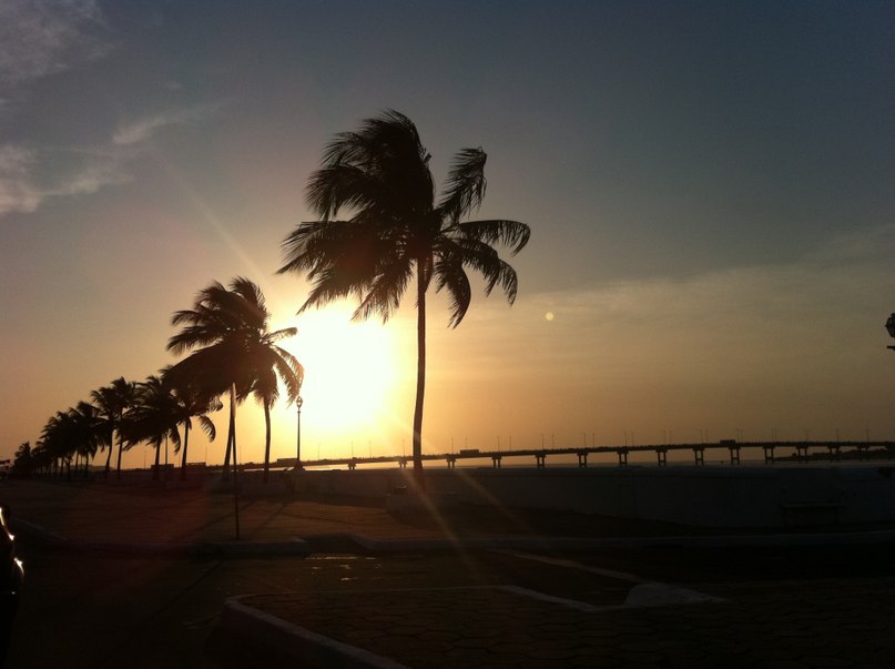 Анатолий Шипулин | 