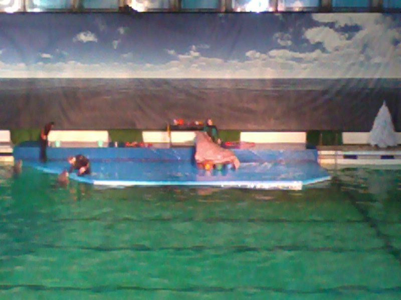 Татьяна Баранова | Санкт-Петербург