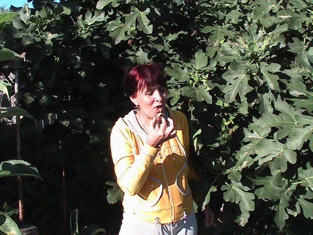 Павел Житков | Санкт-Петербург