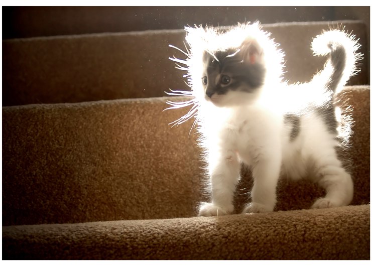 Екатерина Стадниченко | Киев