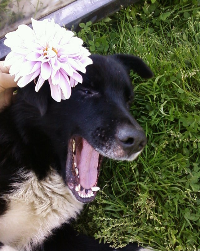 Татьяна Артёмова | Коноша