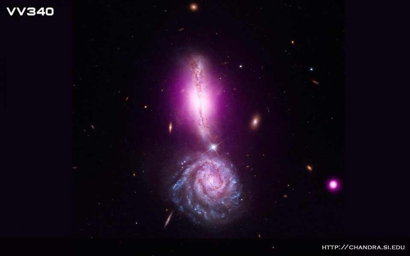 Павел Волков | Санкт-Петербург