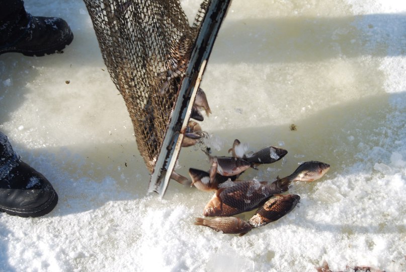 Александр Туласынов | Якутск