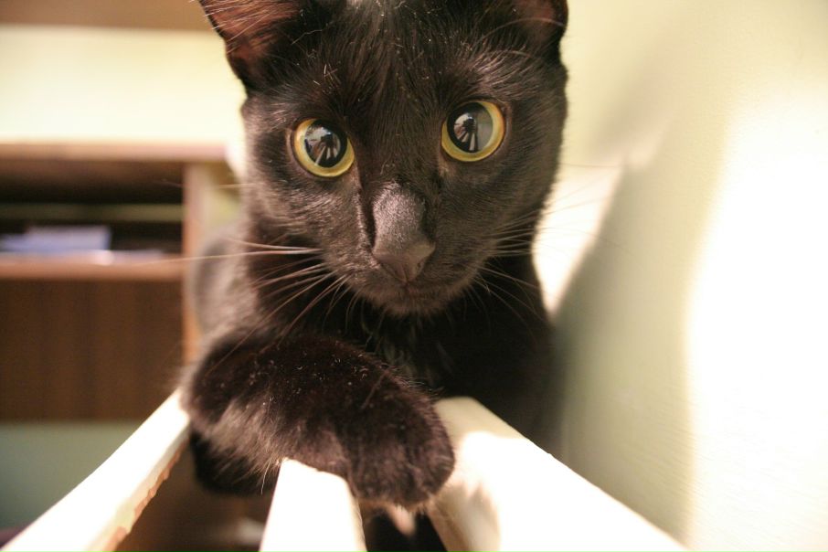 №94, Анастасия Вивенцова, Санкт-Петербург №94, Анастасия Вивенцова, Санкт-Петербург