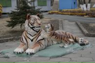 Фотография Анастасия Турушева