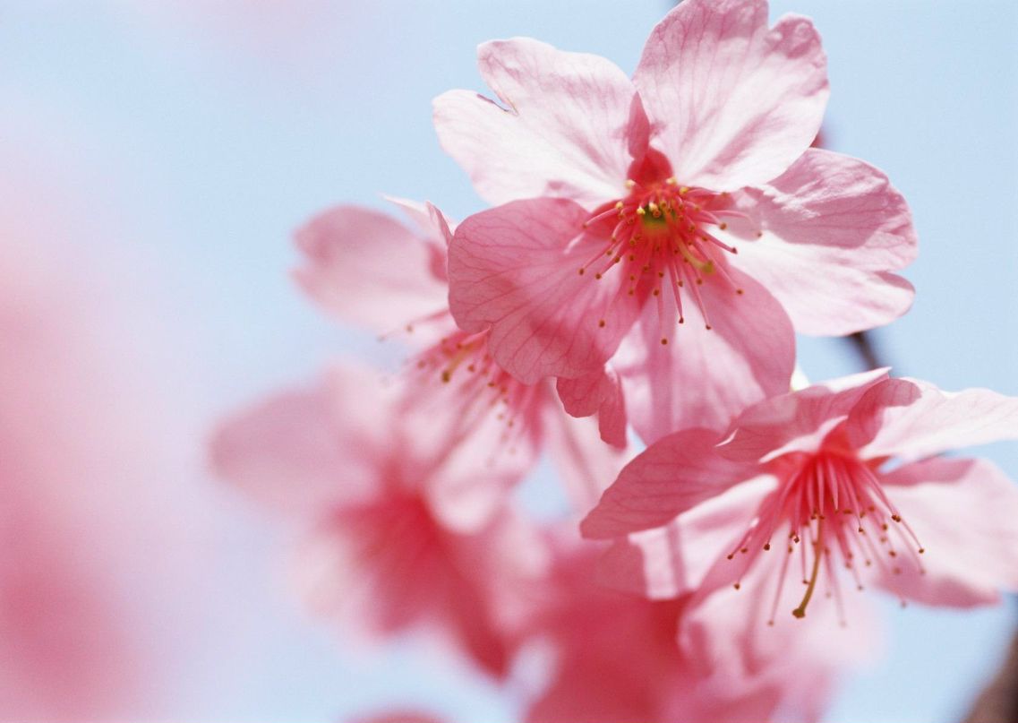 Ксения Жук | Пермь