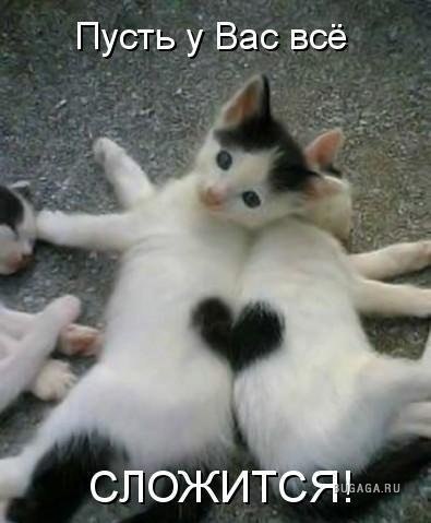 Олег Михайлов | Habana