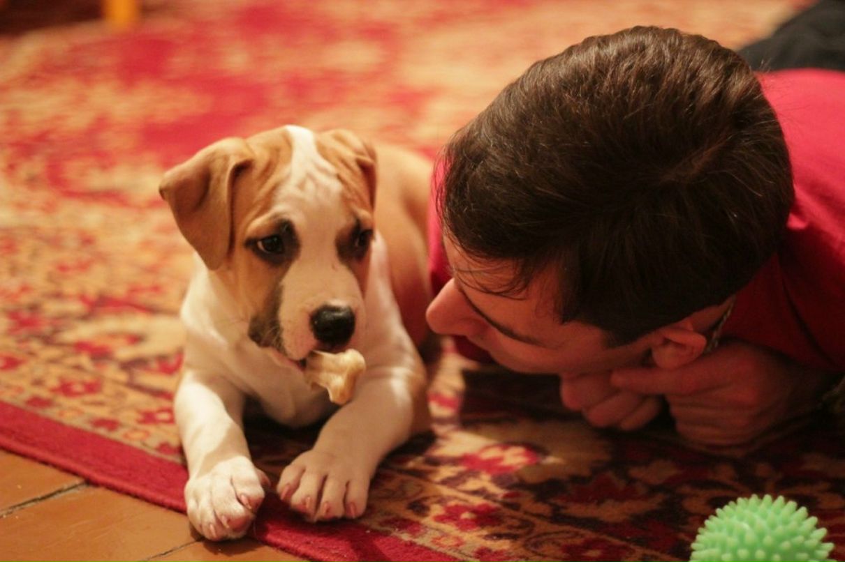 Алексей Перлов | Красноярск