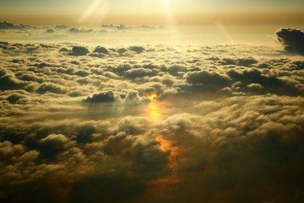 Игорь Капустян <KAPUSTA> | Киев